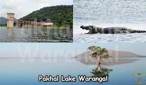 Pakhal Wildlife Sanctuary Logo