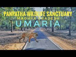 Panpatha Wildlife Sanctuary|Zoo and Wildlife Sanctuary |Travel