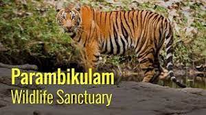Parambikulam Wildlife Sanctuary Logo