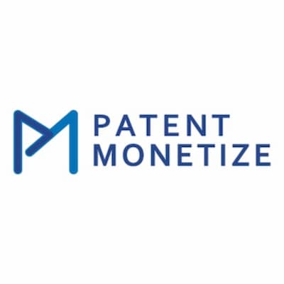 patent monetize|IT Services|Professional Services