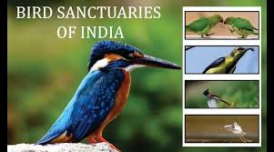 Patna Bird Sanctuary Logo