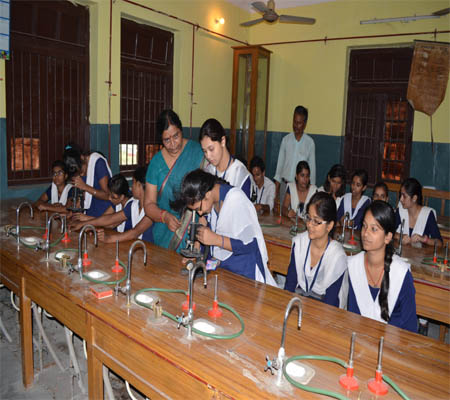 Patna Collegiate School Education | Schools