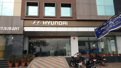 Paul Hyundai Automotive | Show Room