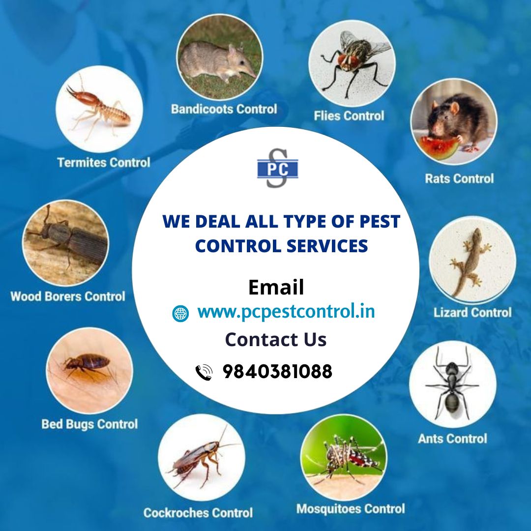 Pc pest control Chennai|Pest Control|Home Services
