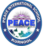 Peace International School|Schools|Education