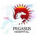 Pegasus Hospital Logo