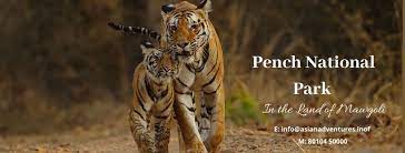 Pench National Park - Logo