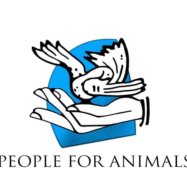 People For Animal Logo