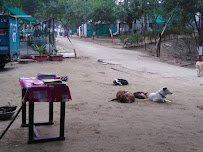 People for Animals Agra shelter Agra - Veterinary in Agra | Joon Square