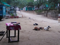 People for Animals Agra shelter Agra - Veterinary in Agra | Joon Square People for Animals Agra shelter Agra - Veterinary in Agra | Joon Square