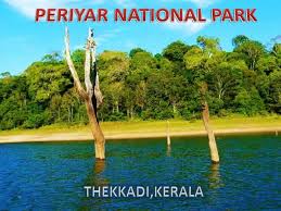 Periyar Wildlife Sanctuary Logo