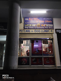 Pet Care and Dog Clinic Medical Services | Veterinary