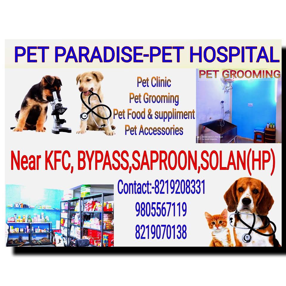 PET CLINIC - Logo