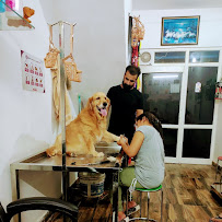 PET n VET CLINIC & DIAGNOSTIC CENTRE Medical Services | Clinics