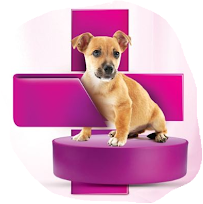 Pet Pluz Medical Services | Veterinary