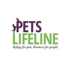 Pet's Lifeline|Hospitals|Medical Services