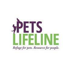 Pet's Lifeline|Dentists|Medical Services