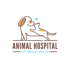 Pet Works Veterinary Hospital|Hospitals|Medical Services