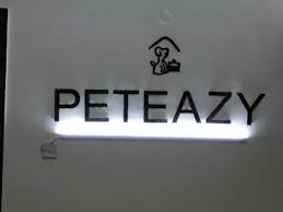 Peteazy - Logo