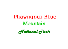 Phawngpui Blue Mountain National Park|Airport|Travel