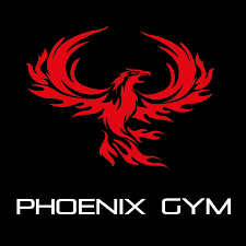 Phoenix Gym - Logo