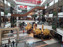Phoenix United Lucknow Shopping | Mall