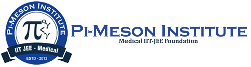PI-MESON INSTITUTE JEE NEET MHT-CET - Logo