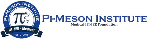 PI-MESON INSTITUTE JEE NEET MHT-CET|Schools|Education