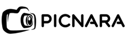 Picnara Logo