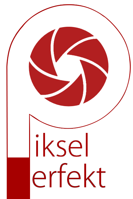 Piksel Perfekt Photography - Logo