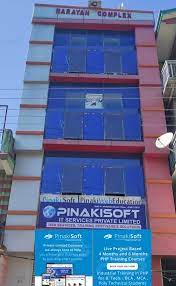 PINAKISOFT IT SERVICES PRIVATE LIMITED Professional Services | IT Services