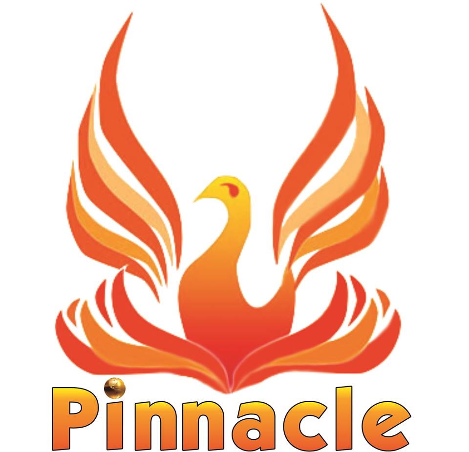 Pinnacle Global School|Schools|Education