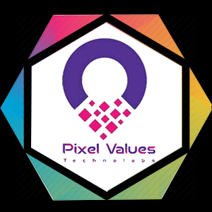 Pixel Values Technolabs|Accounting Services|Professional Services