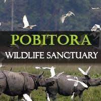 Pobitora Wildlife Sanctuary Logo