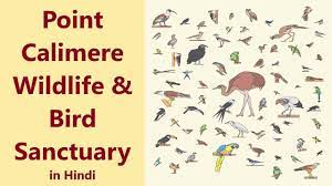 Point Calimere Wildlife and Bird Sanctuary Logo