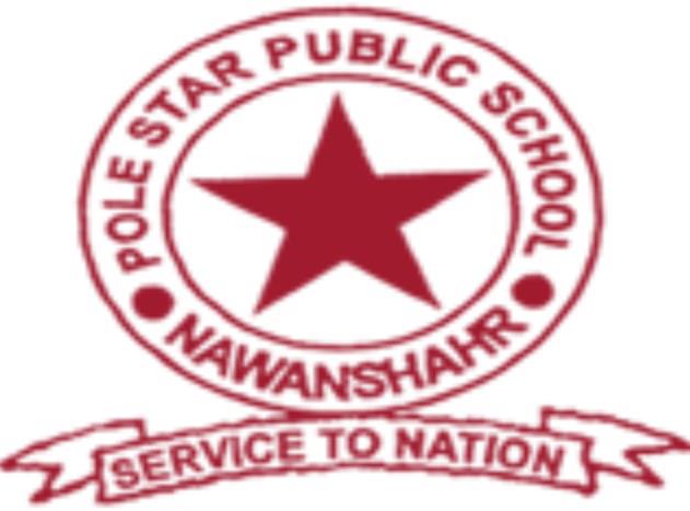 Pole Star Public School - Logo