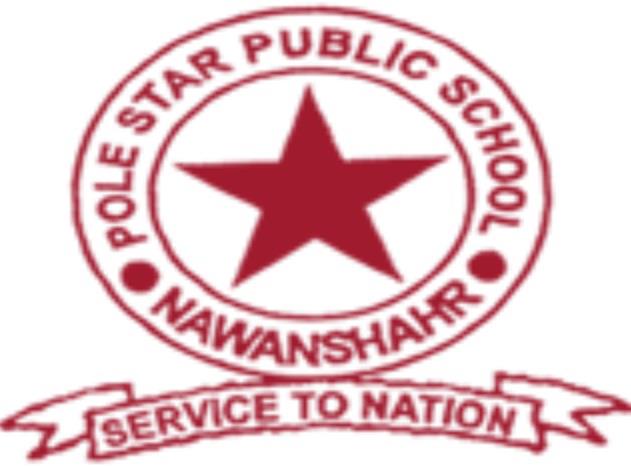 Pole Star Public School Logo