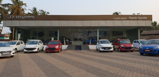 Popular Hyundai Automotive | Show Room