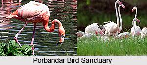 Porbandar Bird Sanctuary - Logo