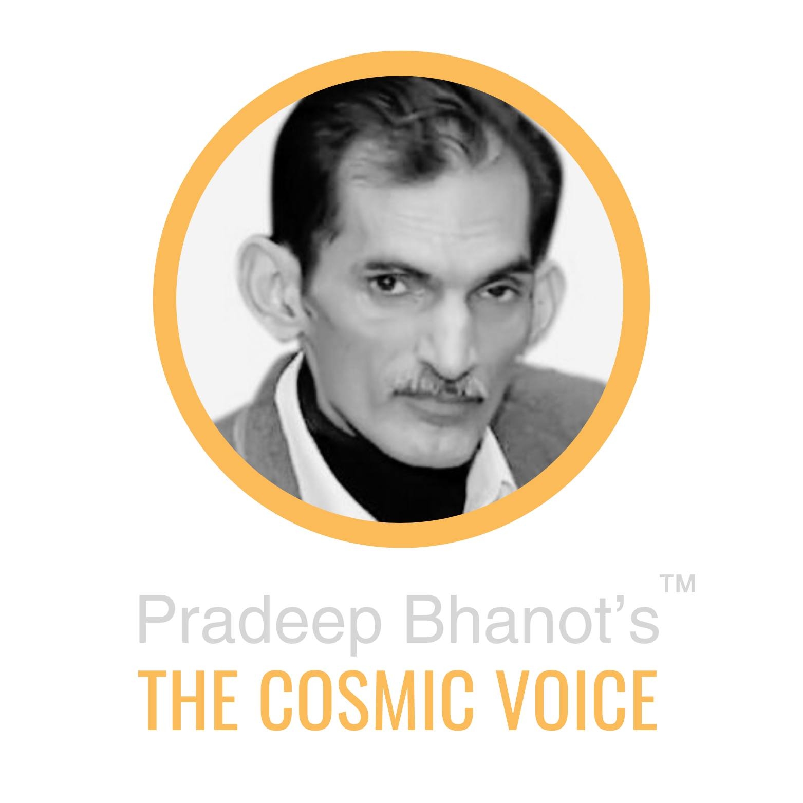 Pradeep Bhanot's The Cosmic Voice|Religious Building|Religious And Social Organizations