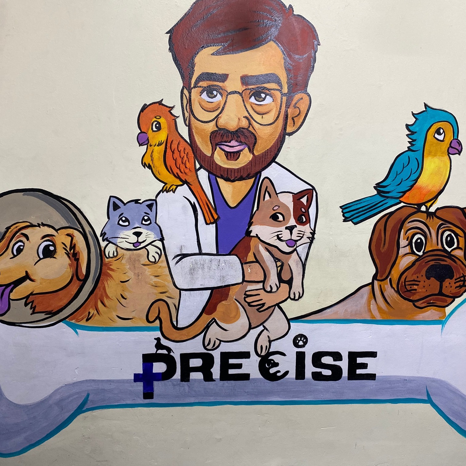 Precise Pet Clinic And Accessories|Veterinary|Medical Services