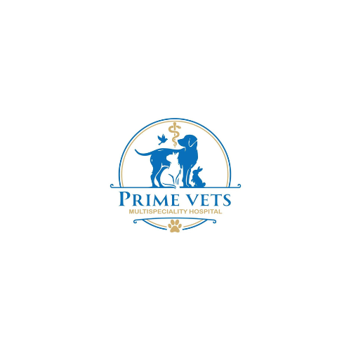 Prime Vets Multispeciality Hospital|Hospital|Medical Services