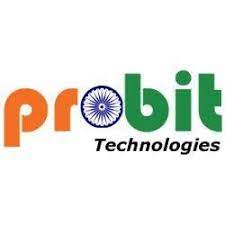 Probit Technologies Logo