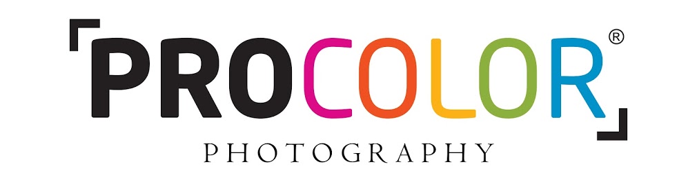 PROCOLOR - Logo