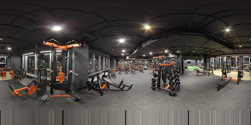 PROTEAM FITNESS Active Life | Gym and Fitness Centre