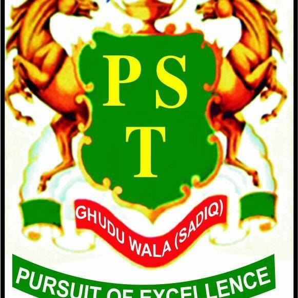 PST Memorial Public School - Logo
