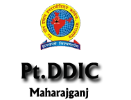 Pt. Deen Dayal Intermediate College Logo