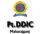 Pt. Deen Dayal Intermediate College|Schools|Education