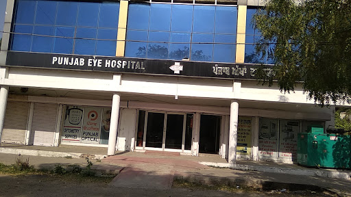 Punjab Eye Hospital Logo