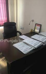 Punjab Law Firm Professional Services | Legal Services